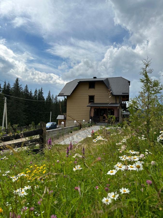 Приватна Садиба Shafran Jablunyzja Exterior foto